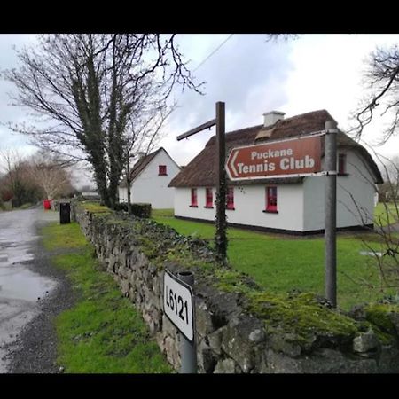Thatcted Cottages Lough Derg Dromineer Esterno foto